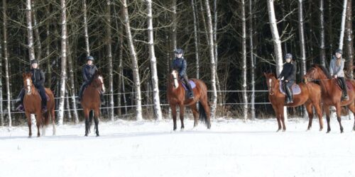 Przepiękna, magiczna Pani Zima zawitała do Robinkowa ❄️☃️